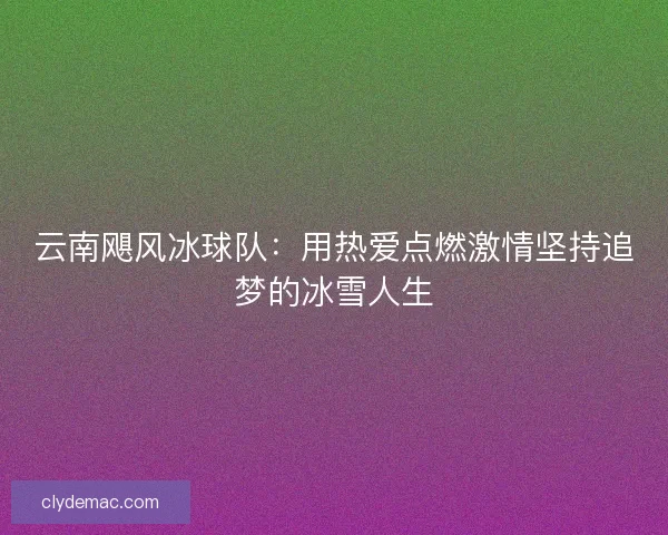 云南飓风冰球队：用热爱点燃激情坚持追梦的冰雪人生